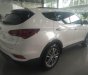 Hyundai Santa Fe 2.4L 2018 - Bán Hyundai Santa Fe 2.4L đời 2018, màu trắng