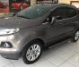 Ford EcoSport Titanium 1.5L AT 2015 - Bán ô tô Ford EcoSport Titanium 1.5L AT đời 2015, màu nâu  