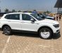 Volkswagen Tiguan 2.0 TSI 4Motion 2018 - Cần bán Volkswagen Tiguan Allspace (07 chỗ)2.0 TSI 4Motion đời 2018, màu đen, nhập khẩu nguyên chiếc