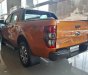 Ford Ranger Wildtrak 3.2 2017 - Bán xe Ford Ranger Wildtrak 3.2 2018, nhập khẩu, 925 triệu