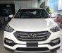 Hyundai Santa Fe 2018 - Hyundai Santa Fe 2.4 máy xăng phiên bản đặc biệt- 2018