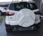 Ford EcoSport Titanium 1.5L AT 2018 - Bán Ford EcoSport Titanium 1.5L AT năm 2018, màu trắng