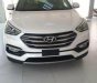 Hyundai Santa Fe 2018 - Bán ô tô Hyundai Santa Fe đời 2018