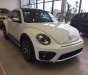 Volkswagen Beetle Dune 2.0 TSI 2018 - Bán xe Volkswagen Beetle Dune 2.0 TSI đời 2018, màu trắng, xe nhập