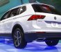 Volkswagen Tiguan Mass 2016 - Bán Volkswagen Tiguan sản xuất năm 2016, màu trắng, nhập khẩu nguyên chiếc