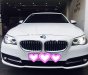 BMW 5 Series 520i 2015 - Bán BMW 5 Series 520i năm 2015, màu trắng, xe nhập