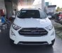 Ford EcoSport Titanium 1.5L AT 2018 - Bán Ford EcoSport Titanium 1.5L AT năm 2018, màu trắng