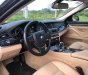 BMW 5 Series 520i 2016 - Chính chủ bán BMW 5 Series 520i đời 2016, màu đen