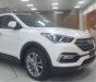 Hyundai Santa Fe 2018 - Bán ô tô Hyundai Santa Fe đời 2018