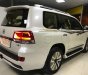 Toyota Land Cruiser VX.S 4.6 V8 2016 - Bán xe Toyota Land Cruiser VX. S 4.6 V8 sản xuất 2016, màu trắng, nhập khẩu