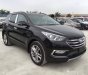 Hyundai Santa Fe 2018 - Bán ô tô Hyundai Santa Fe đời 2018