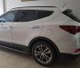 Hyundai Santa Fe CRDi  2017 - Bán Hyundai Santa Fe CRDi đời 2017, màu trắng, 995tr
