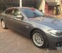 BMW 5 Series  520i 2015 - Bán xe BMW 5 Series 520i năm 2015, màu xám