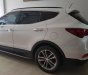 Hyundai Santa Fe 2.2AT CRDi 2017 - Cần bán xe Hyundai Santa Fe CRDi 2017 màu trắng máy dầu