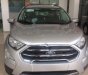 Ford EcoSport 2018 - Bán Ford EcoSport sản xuất năm 2018, màu bạc