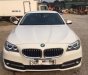 BMW 5 Series  520i 2016 - Bán BMW 5 Series năm 2016, màu trắng, nhập khẩu nguyên chiếc