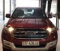 Ford Everest 2016 - Bán xe Ford Everest sản xuất 2016, màu đỏ  