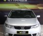 Kia Forte   EX 1.6MT  2012 - Bán Kia Forte EX 1.6MT đời 2012, màu bạc