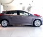 Ford Focus 2017 - Cần bán Ford Focus đời 2017, màu nâu, nhập khẩu, 770 triệu