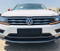 Volkswagen Tiguan Allspace  2018 - Cần bán Volkswagen Tiguan Allspace 2018, màu trắng, nhập khẩu nguyên chiếc