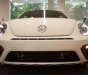 Volkswagen Beetle Dune   2017 - Bán ô tô Volkswagen Beetle Dune 2017, màu trắng, nhập khẩu