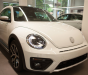 Volkswagen Beetle Dune   2017 - Bán ô tô Volkswagen Beetle Dune 2017, màu trắng, nhập khẩu