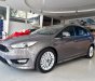 Ford Focus 2017 - Cần bán Ford Focus đời 2017, màu nâu, nhập khẩu, 770 triệu