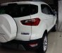 Ford EcoSport 2018 - Bán xe Ford EcoSport 2018, màu trắng, nhập khẩu chính hãng, giá cạnh tranh