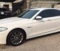 BMW 5 Series 520i 2016 - Bán BMW 5 Series 520i năm 2016, màu trắng, nhập khẩu nguyên chiếc