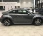 Volkswagen Beetle Dune 2.0 2018 - Cần bán xe Volkswagen Beetle Dune 2.0 sản xuất năm 2018, màu xám (ghi), nhập khẩu