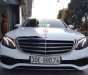 Mercedes-Benz E class   2.0 AT  2017 - Cần bán gấp Mercedes 2.0 AT sản xuất 2017, màu trắng, nhập khẩu