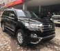 Toyota Land Cruiser VX 4.6 V8 2017 - Cần bán Toyota Land Cruiser VX 4.6 V8 đời 2017, màu đen, nhập khẩu chính chủ