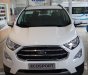 Ford EcoSport Titanium 2018 - Bán xe Ford Ecosport bản cao cấp 2018