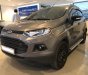 Ford EcoSport Titanium 2017 - Bán xe Ford EcoSport Titanium Black Edition 2017, xe cực keng