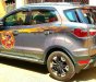 Ford EcoSport 2016 - Bán ô tô Ford EcoSport sản xuất 2016, màu nâu đã đi 24.000km