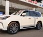 Lexus LX 570 2016 - Cần bán Lexus LX 570 đời 2017, đăng ký 2017 chính chủ từ đầu