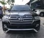 Toyota Land Cruiser VX 4.6 V8 2017 - Cần bán Toyota Land Cruiser VX 4.6 V8 đời 2017, màu đen, nhập khẩu chính chủ