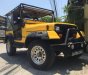 Jeep Wrangler MT 1989 - Bán Jeep Wrangler MT năm 1989, màu vàng