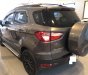 Ford EcoSport Titanium 2017 - Bán xe Ford EcoSport Titanium Black Edition 2017, xe cực keng