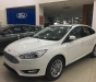 Ford Focus 2018 - Bán xe Ford Focus sản xuất 2018, đủ màu, giao ngay toàn quốc, trả trước thấp