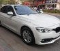 BMW 3 Series 320i 2016 - Bán BMW 3 Series 320i đời 2016, màu trắng, nhập khẩu