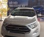 Ford EcoSport Titanium 1.5L AT 2018 - Bán Ford EcoSport 1.5 Titanium SX 2018, màu bạc