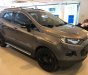 Ford EcoSport Titanium Black 1.5L AT 2017 - Bán Ford EcoSport 1.5L Titanium đời 2017, màu nâu 