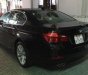 BMW 5 Series 520i 2016 - Bán BMW 5 Series 520i đời 2016, màu đen, nhập khẩu  