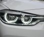 BMW 3 Series 320i 2016 - Bán BMW 3 Series 320i đời 2016, màu trắng, nhập khẩu