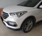 Hyundai Santa Fe 2017 - Cần bán xe Hyundai Santafe CRDi 2017 màu trắng máy dầu zin toàn bộ