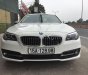 BMW 5 Series 520i 2013 - Chính chủ bán BMW 5 Series 520i SX 2013, màu trắng, nhập khẩu