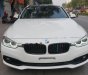 BMW 3 Series 320i 2016 - Bán BMW 3 Series 320i đời 2016, màu trắng, nhập khẩu