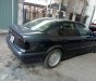 BMW 3 Series   1995 - Bán xe BMW 3 Series sản xuất 1995, nhập khẩu, 99 triệu