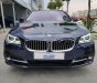 BMW 5 Series 520i 2016 - Cần bán BMW 5 Series 520i đời 2016, màu xanh lam, nhập khẩu, chính chủ